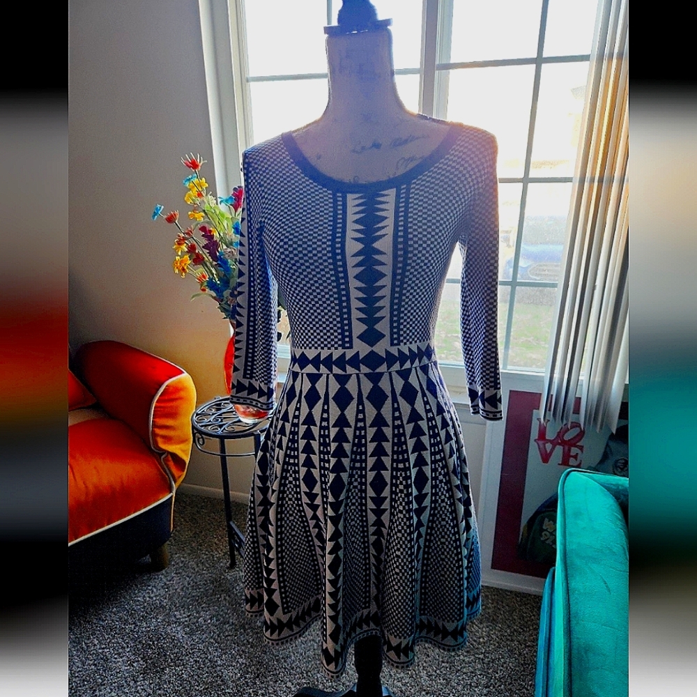 Nina Leonard Dress